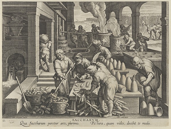 Processo di lavorazione dello zucchero illustrato da una stampa del XVI secolo.