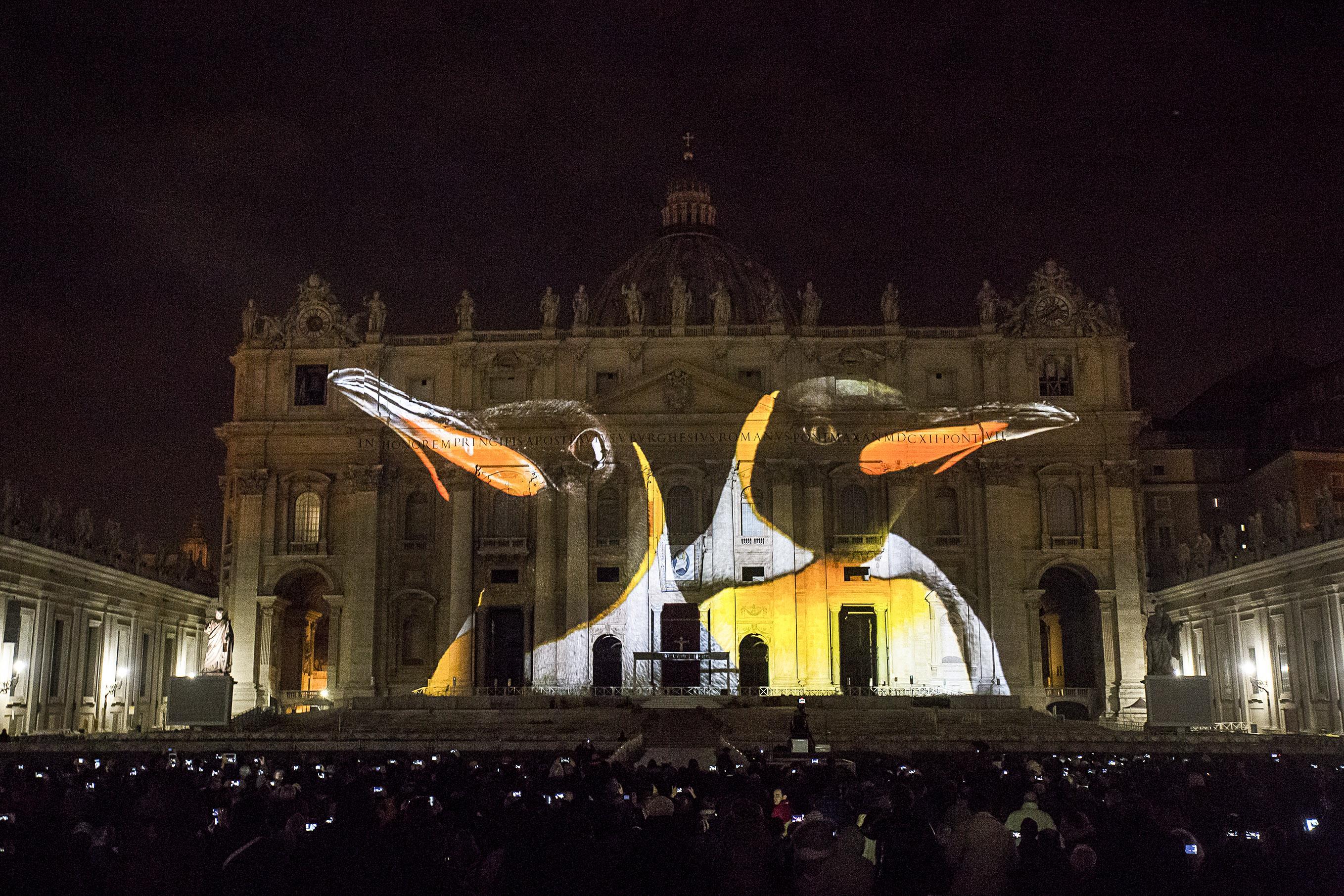 Un istante dell'illuminazione «Fiat lux: illuminare la nostra casa comune» sulla facciata di San Pietro - Ecologia..