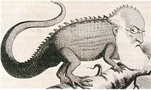 Agostino Depretis in una caricatura dell'epoca. Viene raffigurato come un camaleonte, simbolo del trasformismo di cui fu uno dei primi esponenti. (Wikipedia)