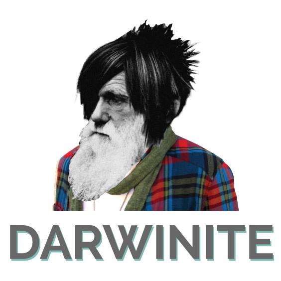 darwinite