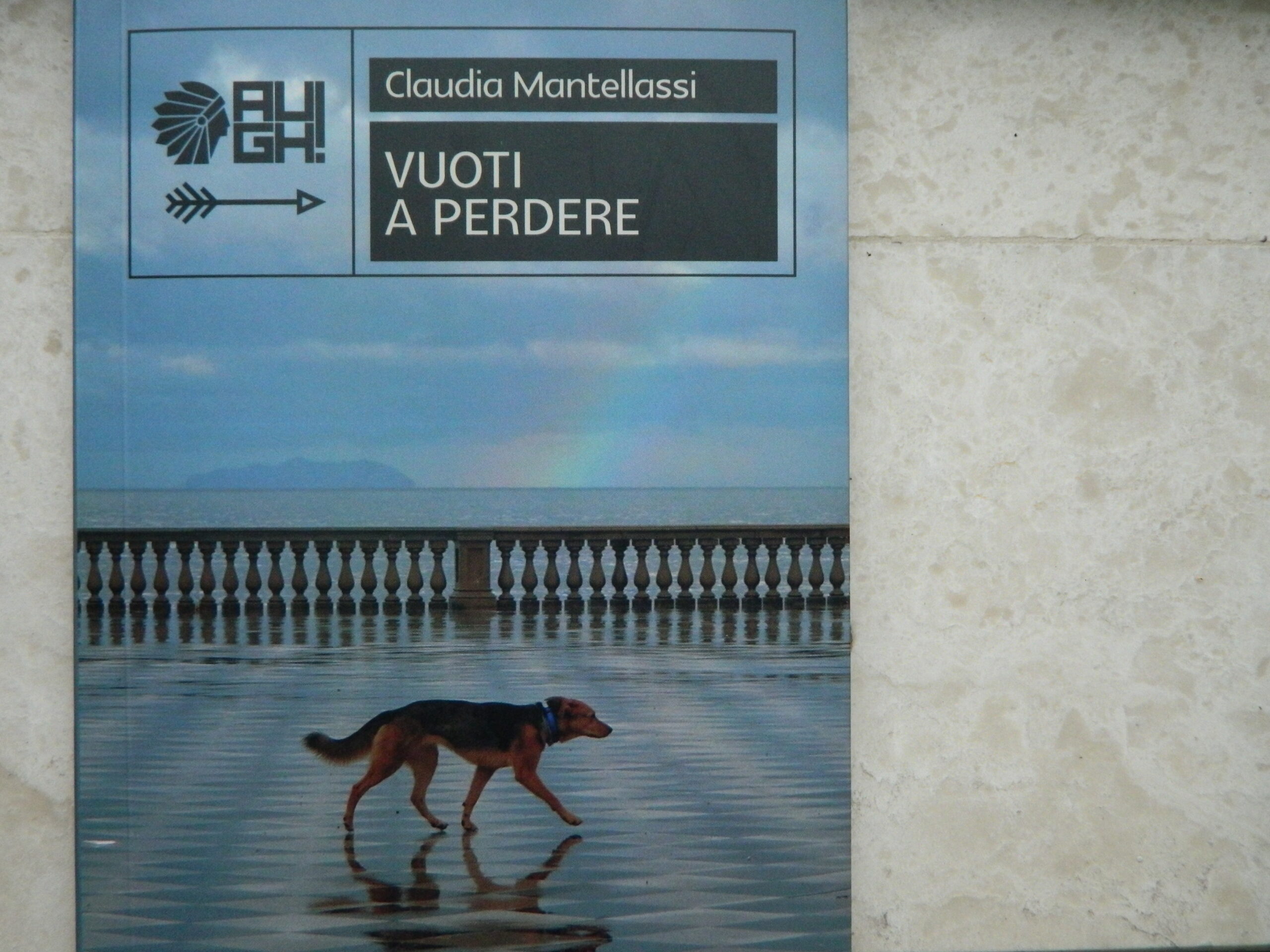 Copertina del libro Vuoti a perdere di Claudia Mantellassi