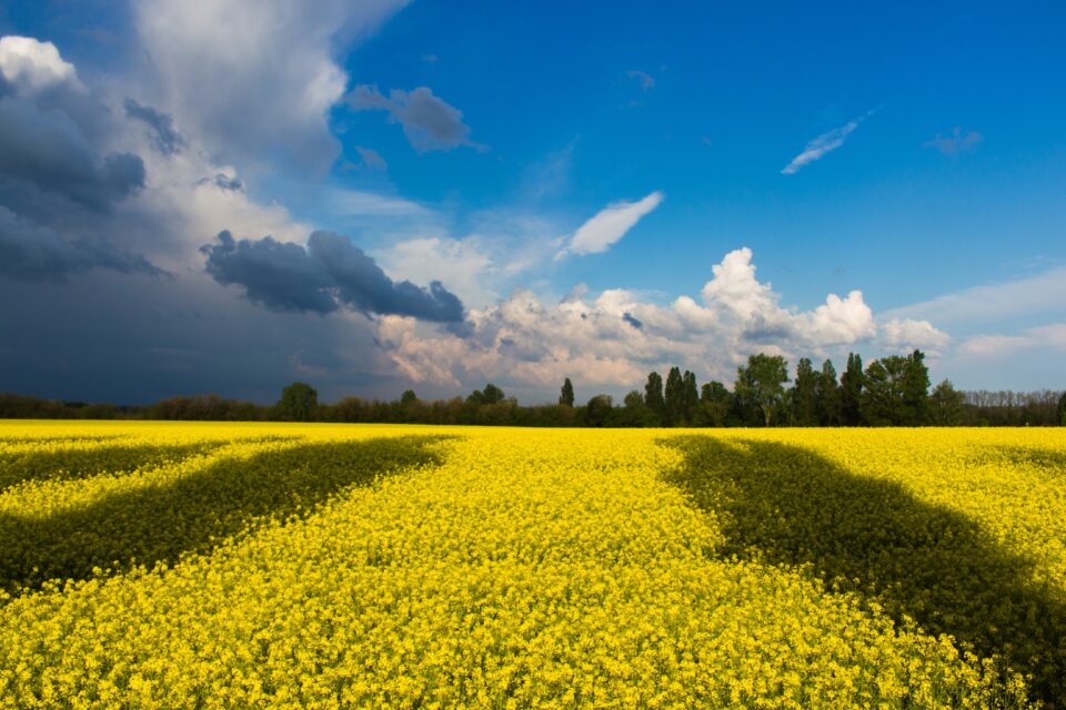 sovranità ucraina