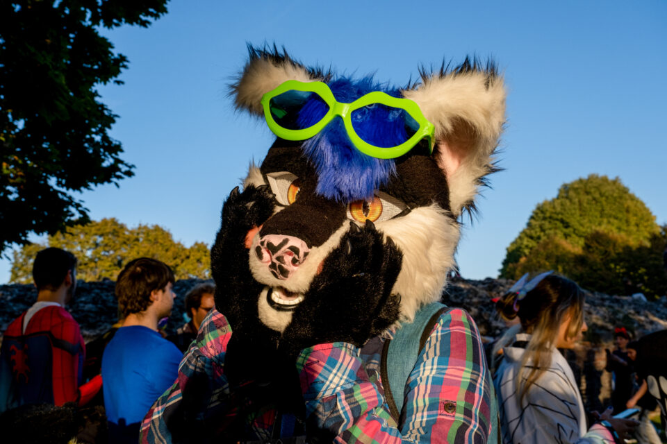 furry lucca comics