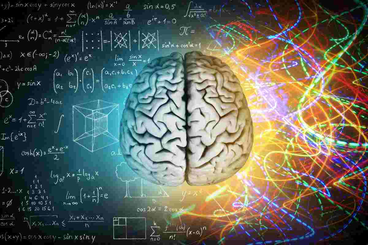 Cervello uomo e donna: la ricerca