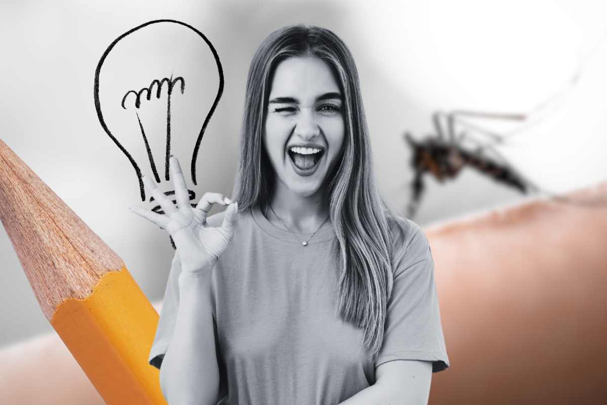 Zanzare fastidiose rimedio naturale allontana anche vespe