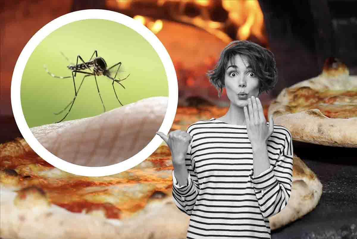 Arriva la nuova pizza innovativa anti-zanzare