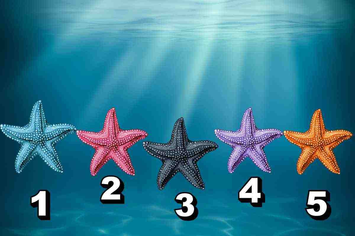 Test della stella di mare