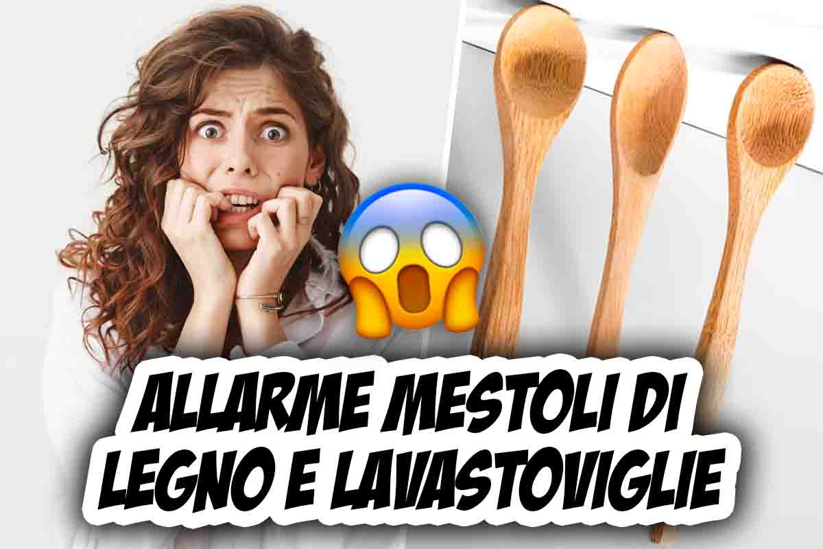 Allarme mestoli di legno e lavastoviglie: rischio tremendo per la