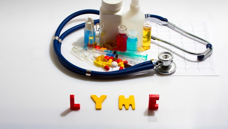Malattia di Lyme: da cosa è causata 