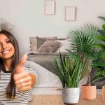 Piante da camera da letto: fanno bene alla salute