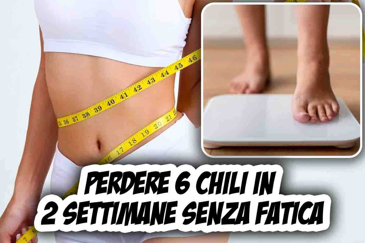 Dieta del supermetabolismo funzionamento