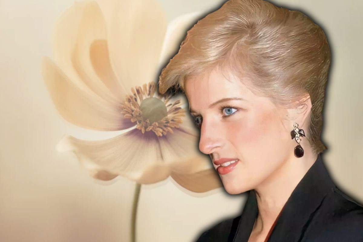 Lady Diana dopo anni spunta il suo segreto di bellezza