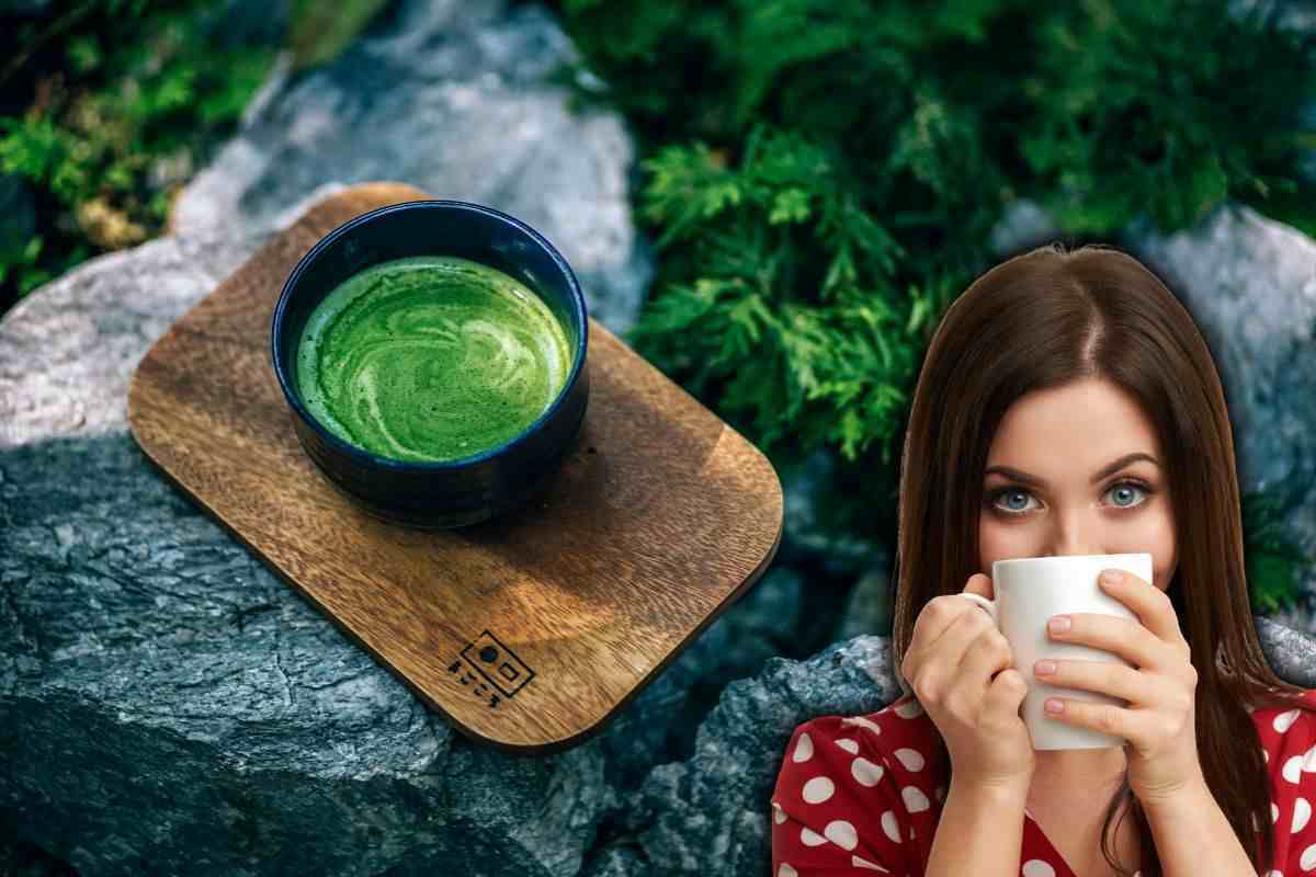 Qué es el té matcha y por qué todo el mundo habla de él: cuando descubras sus increíbles beneficios, ¡comenzarás a beberlo también!