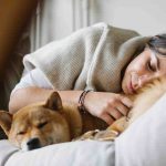 Il cane non dovrebbe mai dormire nel letto con noi