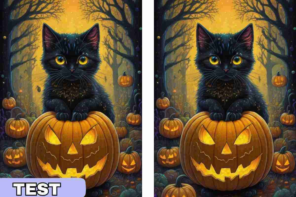 Test visivo gatti e zucca