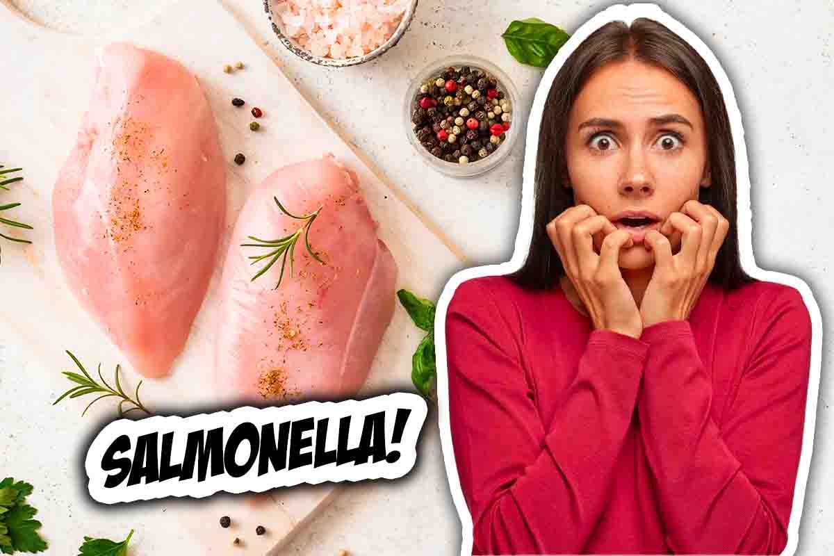 Allarme salmonella nel pollo