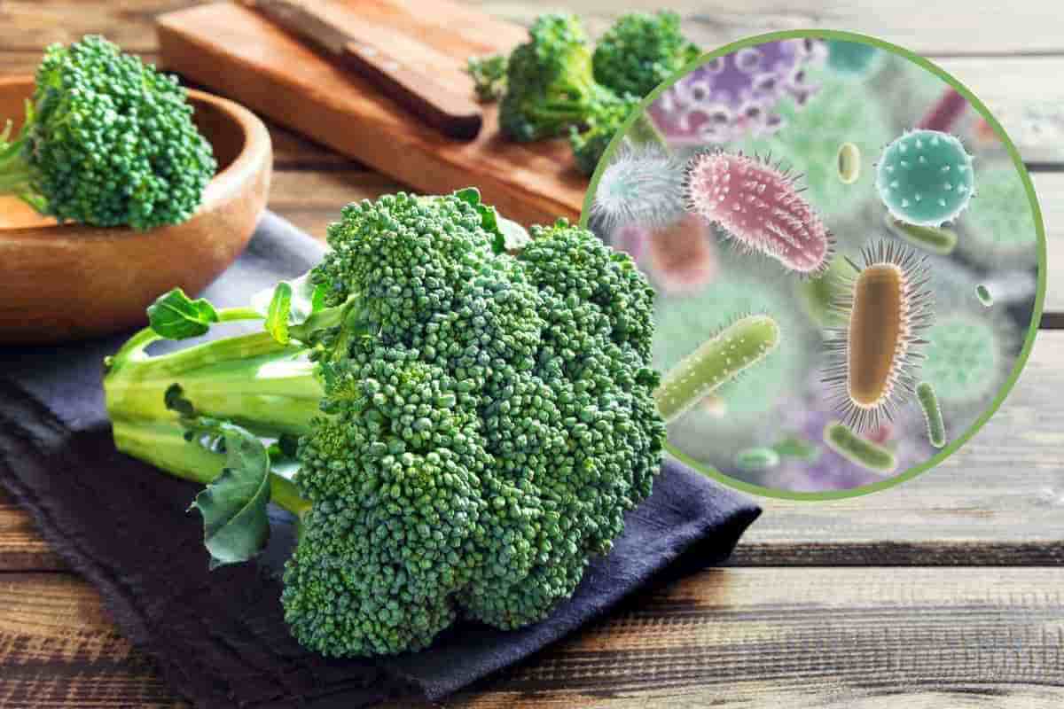 Vermi e parassiti nei broccoli: questo è l