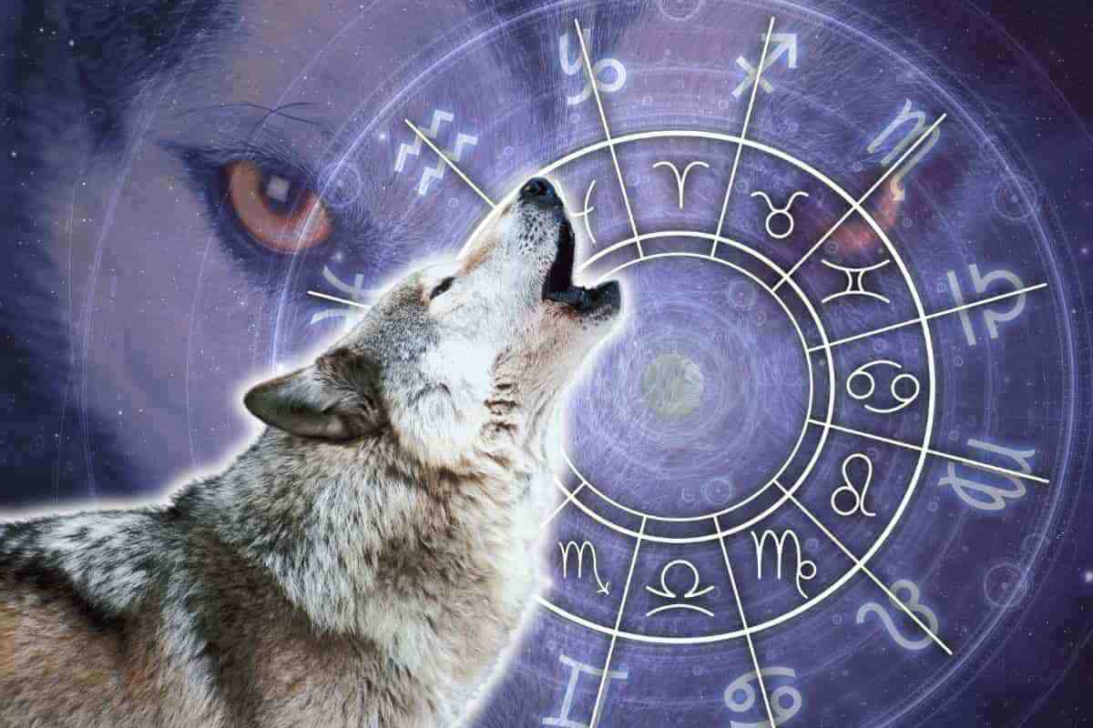 animale guida di ogni segno zodiacale