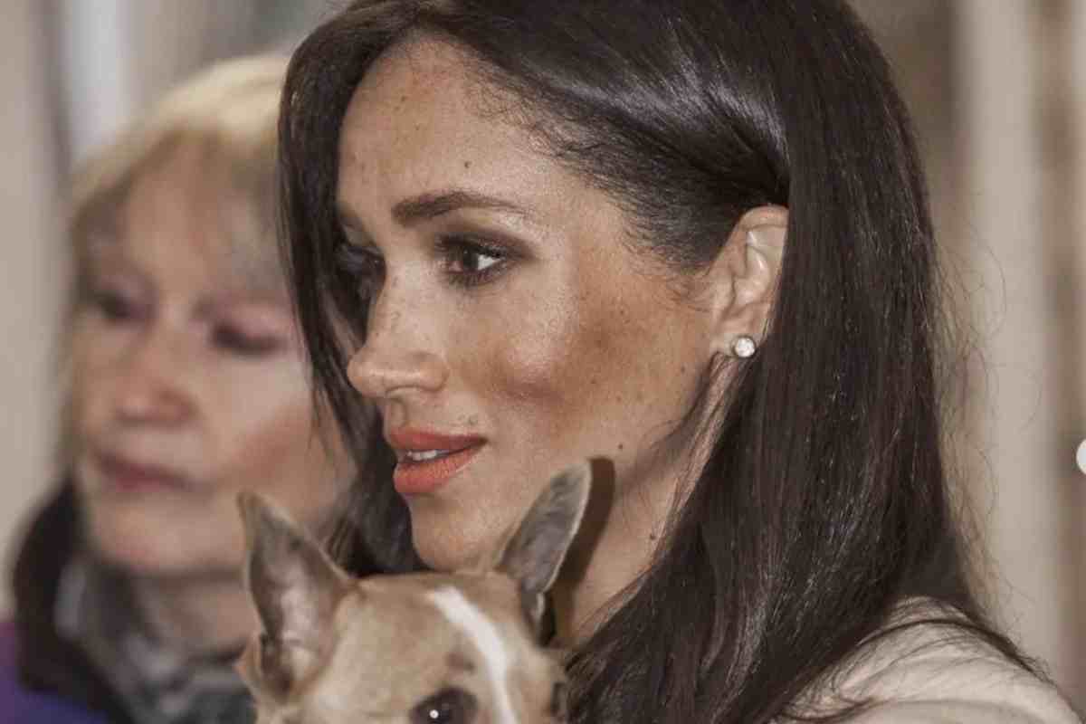 meghan markle kate middleton non si parlano motivo