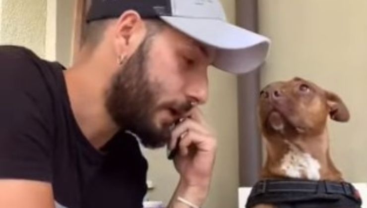 finge chiamata con il canile