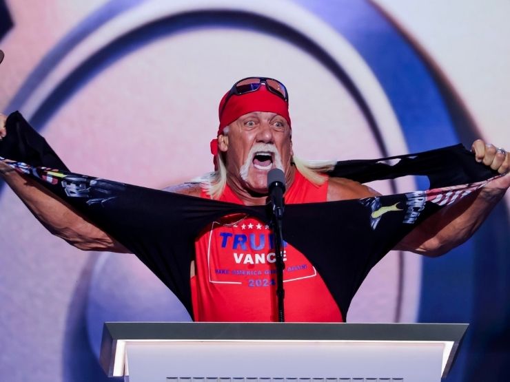 hulk hogan