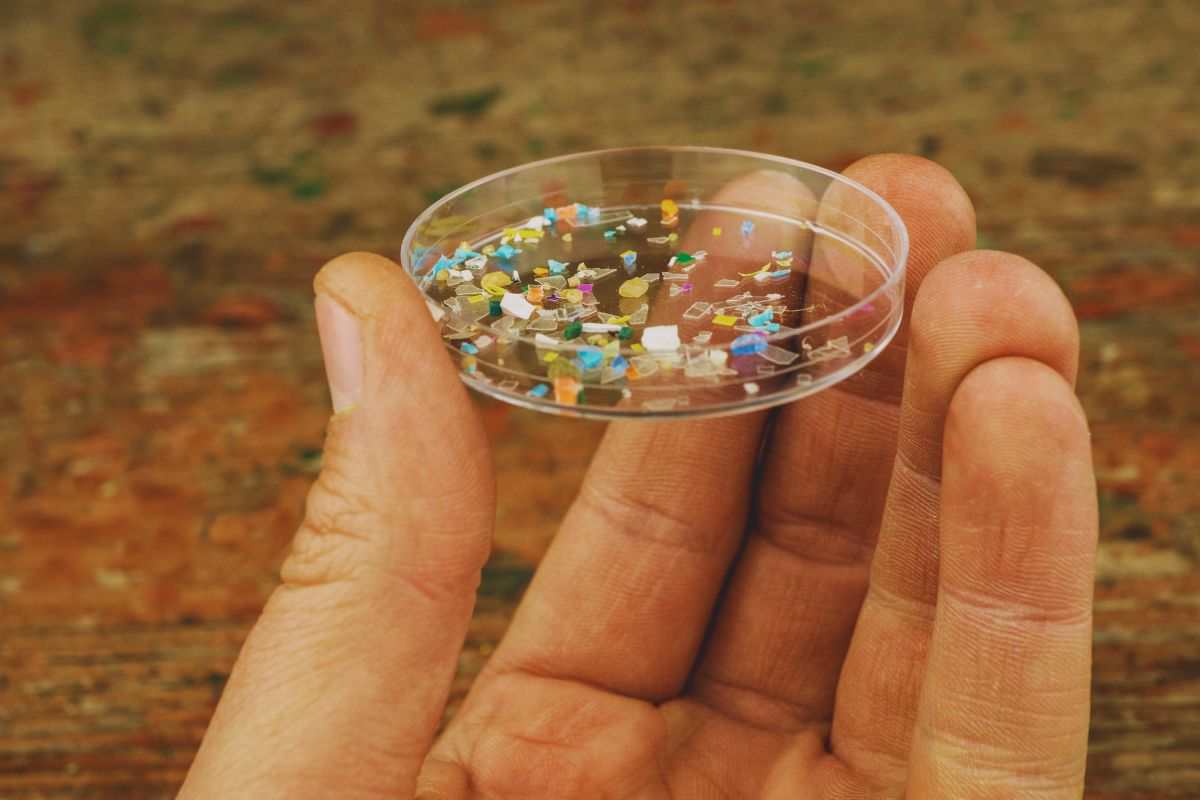 microplastiche contenute in un contenitore da laboratorio