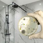 doccia sullo sfondo e germi e batteri in evidenza