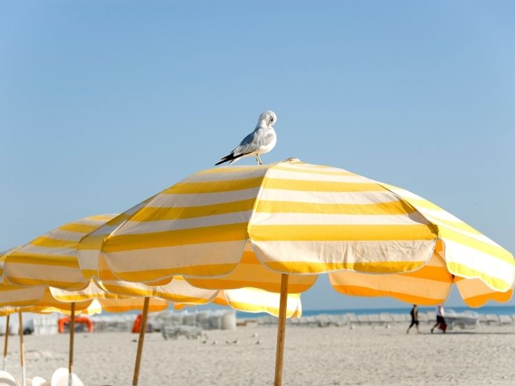 spiaggia ombrelloni