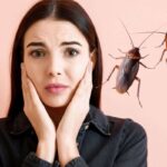 Donna preoccupata per gli scarafaggi