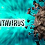 Hantavirus sulla nave da crociera: paura alle Canarie, 150 passeggeri sotto osservazione