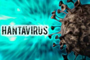Hantavirus sulla nave da crociera: paura alle Canarie, 150 passeggeri sotto osservazione